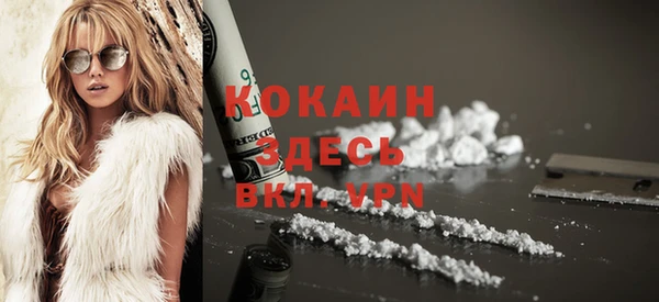 дживик Новозыбков