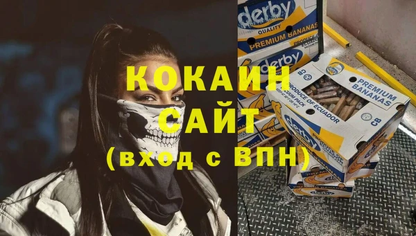 дживик Новозыбков