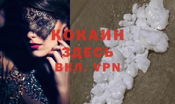 дживик Новозыбков