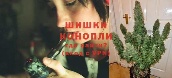 дживик Новозыбков