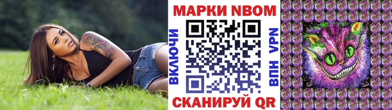 где можно купить наркотик  Пучеж  мега tor  Марки N-bome 1500мкг 