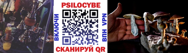 мега онион Пучеж Галлюциногенные грибы GOLDEN TEACHER цена